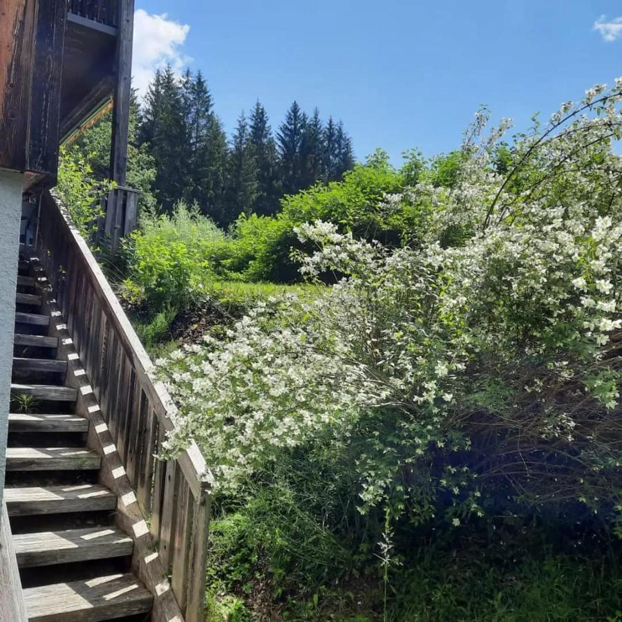 Apartment Haus Branol Hermagor-Pressegger See